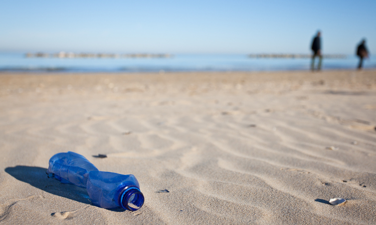 discarded bottle on the beach