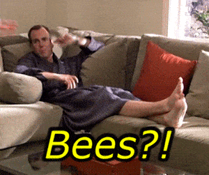 Arrested Development Bees gif
