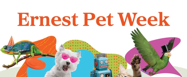 Pet Week