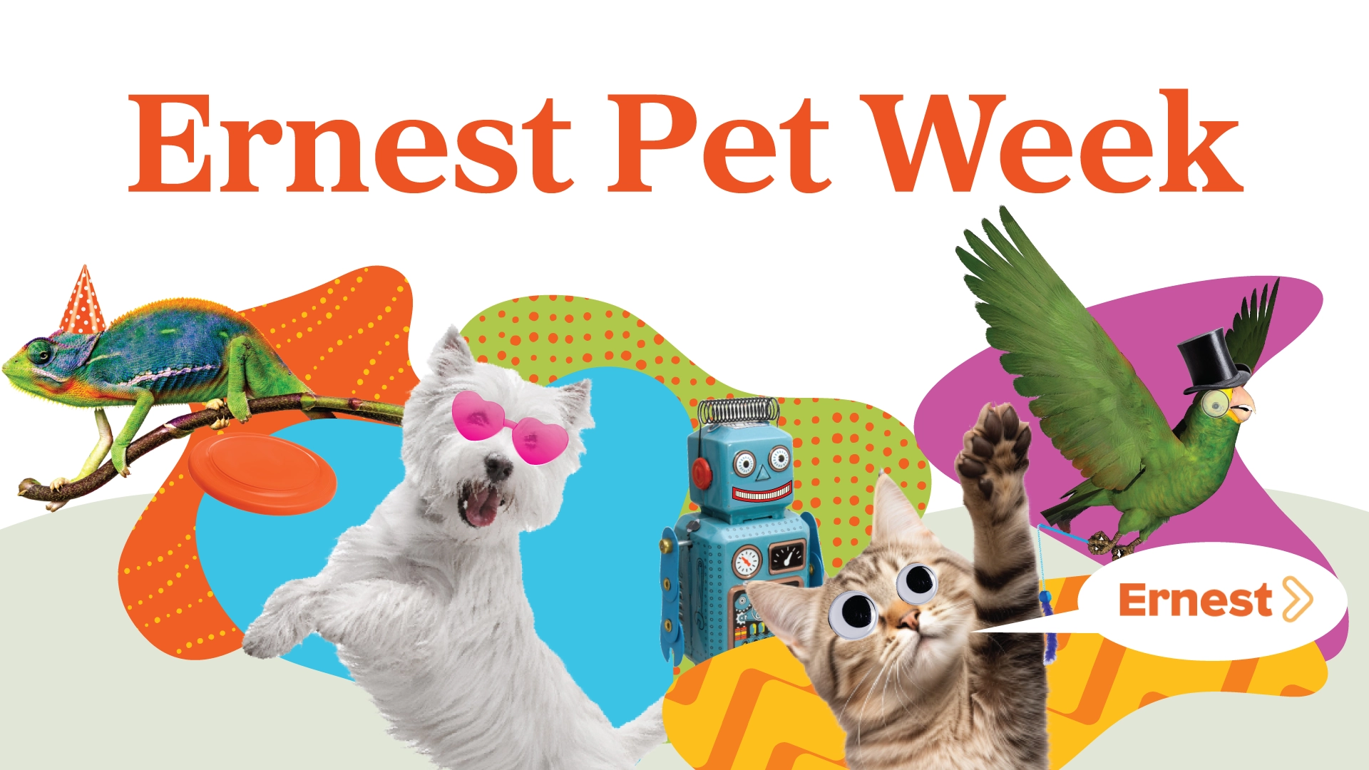 Pet Week